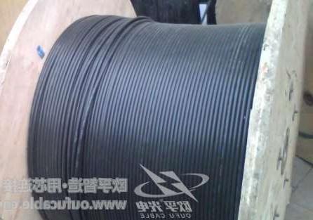 阿坝藏族羌族自治州12芯GYXTW中心束管式光缆制作 欧孚GYXTW光缆特点